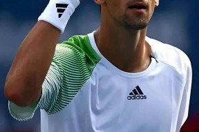 爱游戏-公牛不断突破！，费德勒连续三场比赛得分超过重返赛场全场沸腾不已的简单介绍